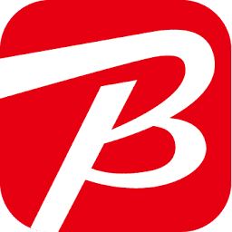 ビックカメラ logo