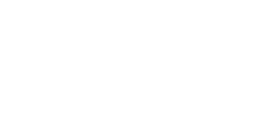 ビジュアル・プロセッシング・ジャパン logo