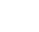 フライトソリューションズ logo