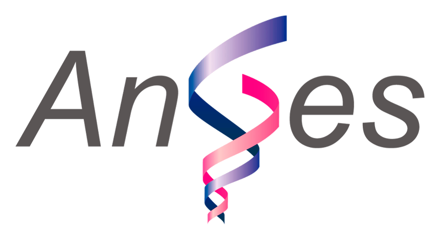 アンジェス logo